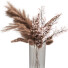 Blumenstrauß Dekorative Pampas - AnimixStudio