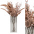 Blumenstrauß Dekorative Pampas - AnimixStudio