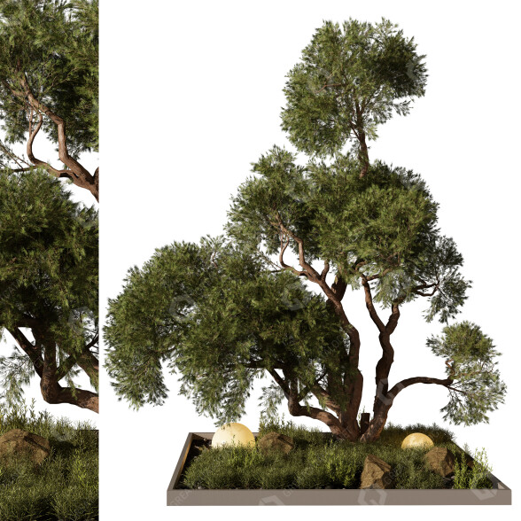 Drzewa i krzewy Outdoor 250 model 3D
