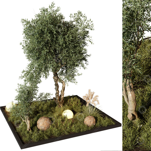 Bäume und Sträucher Im freien 249 3D-Modell
