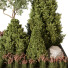 Trees and Bushes Outdoor Plant 252 - uniquevry