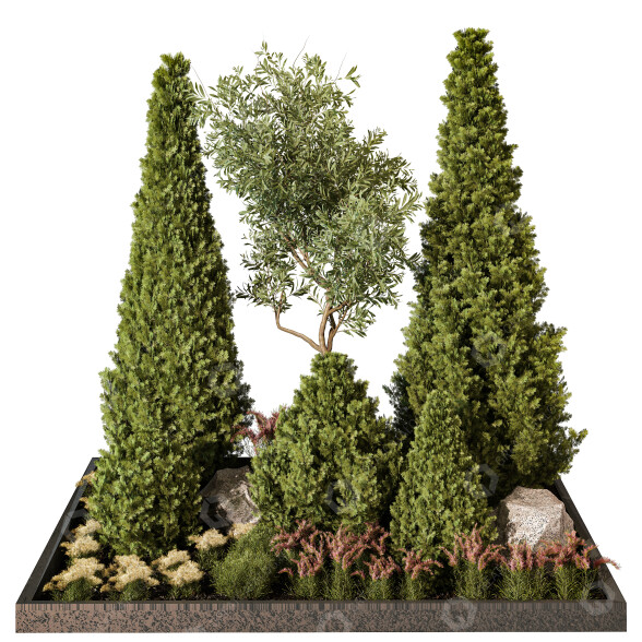 Trees and Bushes Outdoor Plant 252 3D model