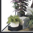 Potted Plant Collection Set 31 - mio