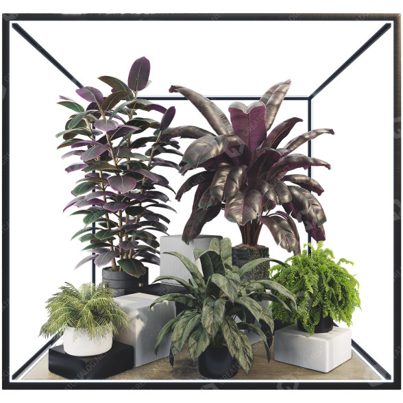 Potted Plant Collection Set 31 3D model