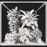 Potted Plant Collection Set 31 - mio