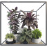 Potted Plant Collection Set 31 - mio