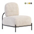 Кресло Dutch Furniture Polly Modern Lounge - axtam3d