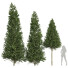 Árboles Carpinus Betulus 03 - Pandora-land