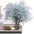 Trees Collection Set 41 - mio