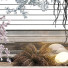 Trees Collection Set 41 - mio