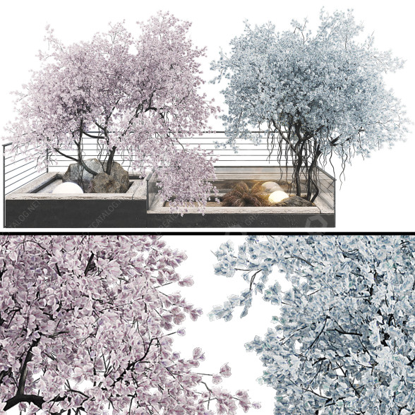 Trees Collection Set 41 3D model