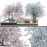 Trees Collection Set 41 - mio