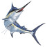 Ryba Marlin - Kudim