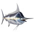 Ryba Marlin - Kudim