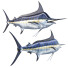 Ryba Marlin - Kudim