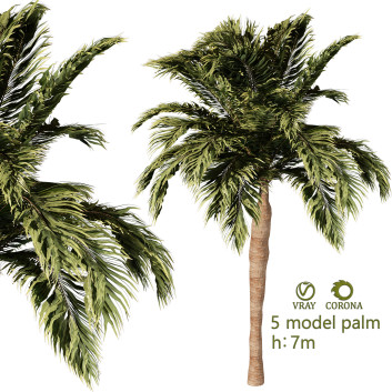Bäume Palme band 01