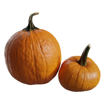 Légumes Pumpkins Collection 01 Modèle 3D