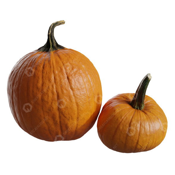 Gemüse Pumpkins Collection 01 3D-Modell