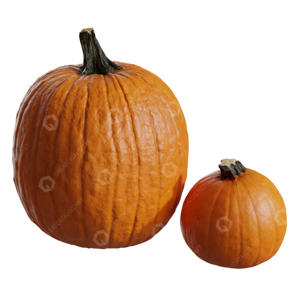 Légumes Pumpkins Collection 02 modèle 3D