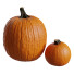 Légumes Pumpkins Collection 02 - ES