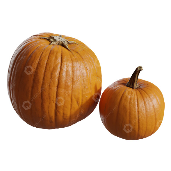 Овочі Pumpkins Collection 03 3D модель