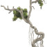 Bonsai Tree Collection Set 63 - mio