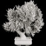 Bonsai-Baum Sammlung Set 67 - mio