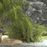 Tree and Bushes Collection Set 73 - mio