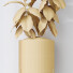 Rośliny doniczkowe HQ House Rubber Ficus Elastica Abidjan Melany Set 07 - Pandora-land