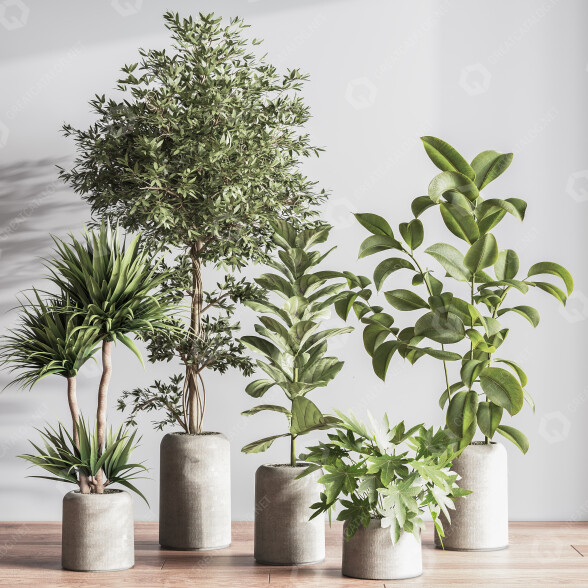 Plantes en pot Ensemble intérieur 051 modèle 3D