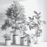 Plantes en pot Ensemble intérieur 051 - nasrinrad