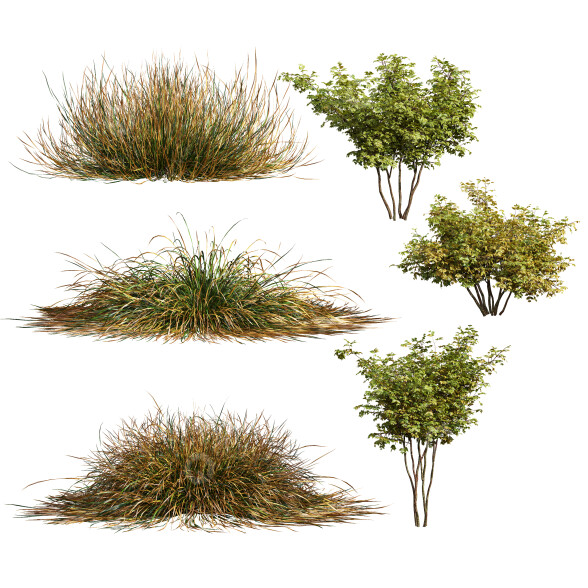 Arbustos Otoño 6 Diferentes Modelo 3D