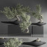 Bonsai-Bäume Innenset 35 - Haniezzatpur