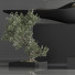Bonsai-Bäume Innenset 35 - Haniezzatpur