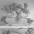 Bonsai-Bäume Innenset 35 - Haniezzatpur