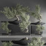 Bonsai-Bäume Innenset 35 - Haniezzatpur