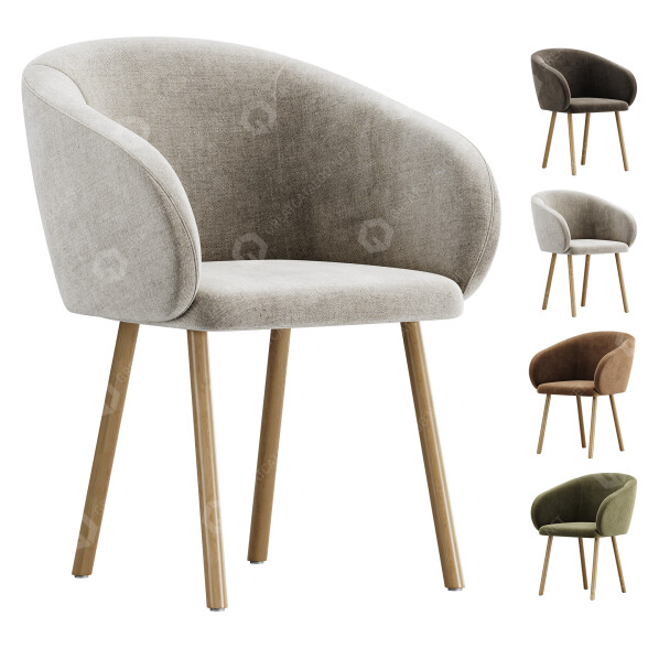 Fauteuil Zilio Aldo & C Nasu modèle 3D