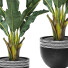Potted Plant Tropical Indoor Tree - Pro