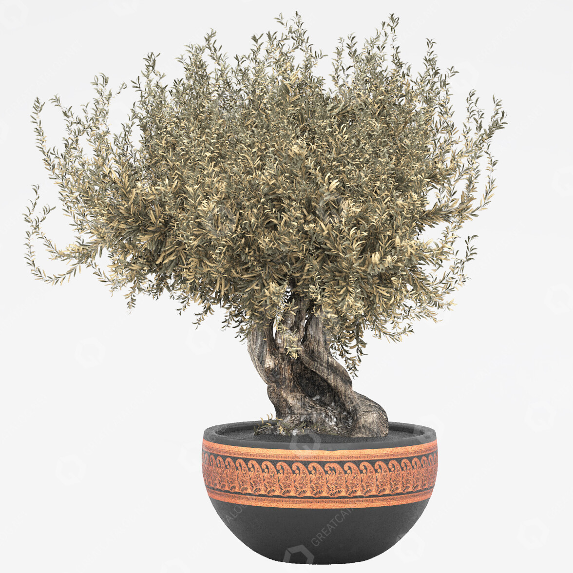 Potted Plant Olive Tree 3D model #37784 | GreatCatalog