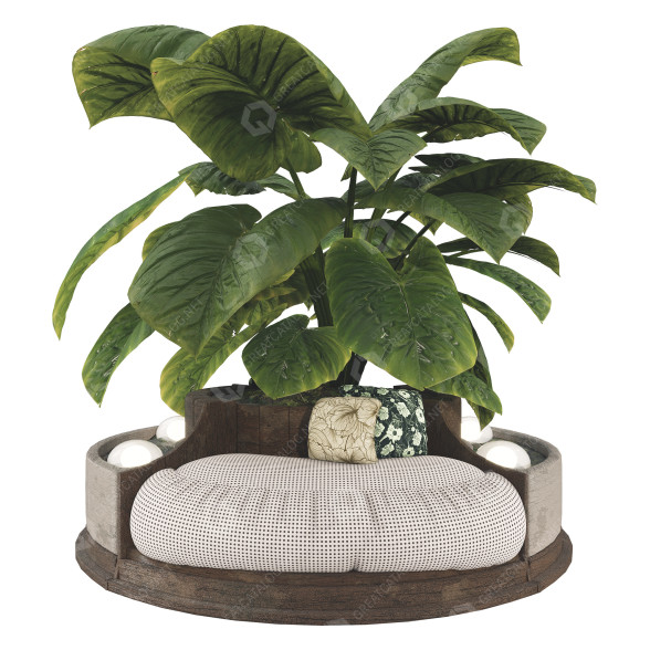 Pflanzen und Sofa Sammlung Set 78 3D-Modell