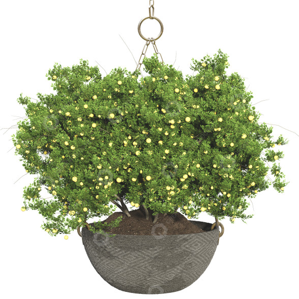 Planta en maceta colgante Conjunto de Colección 79 Modelo 3D