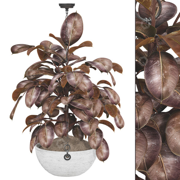 Planta en maceta colgante Conjunto de Colección 80 Modelo 3D