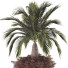 Plants and Benches Collection Set 86 - mio