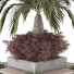 Plants and Benches Collection Set 86 - mio