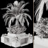 Plants and Benches Collection Set 86 - mio
