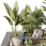 Árbol y arbustos HQ Caja de Jardín Exterior Volumen 31 - Pandora-land