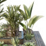 Árbol y arbustos HQ Caja de Jardín Exterior Volumen 31 - Pandora-land