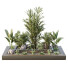 Árbol y arbustos HQ Caja de Jardín Exterior Volumen 31 - Pandora-land