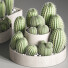 Potted Plants Indoor Set 40 Cactuses - Haniezzatpur