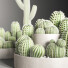 Potted Plants Indoor Set 40 Cactuses - Haniezzatpur